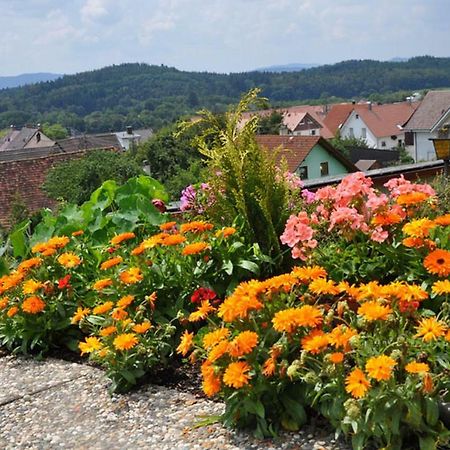 Gasthof Adler Guettingen Guttingen 外观 照片