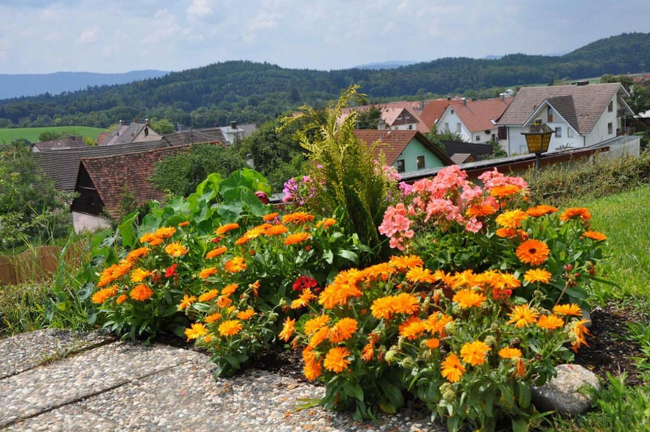 Gasthof Adler Guettingen Guttingen 外观 照片